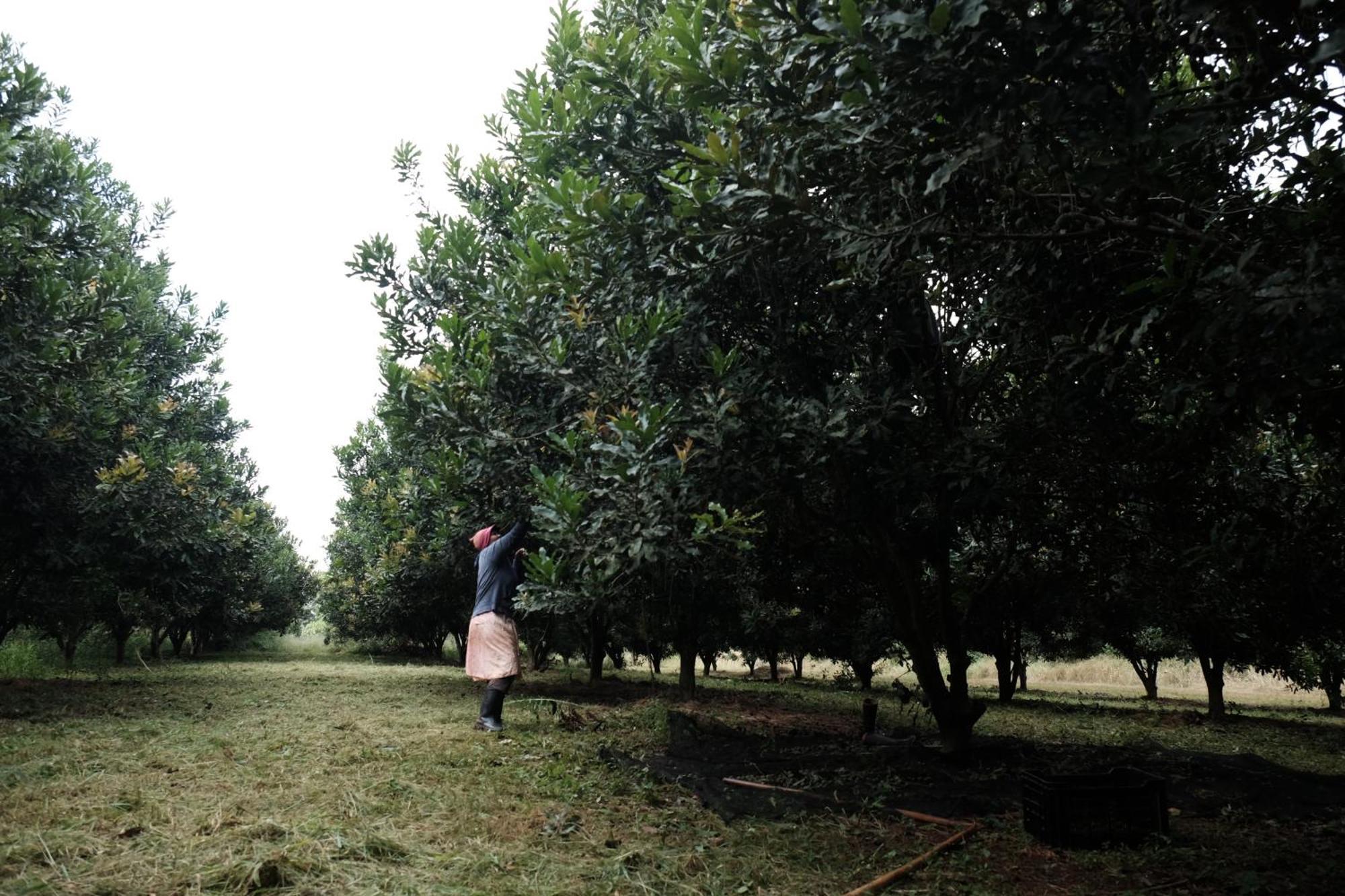 Mabuda Guest Farm Siteki Esterno foto